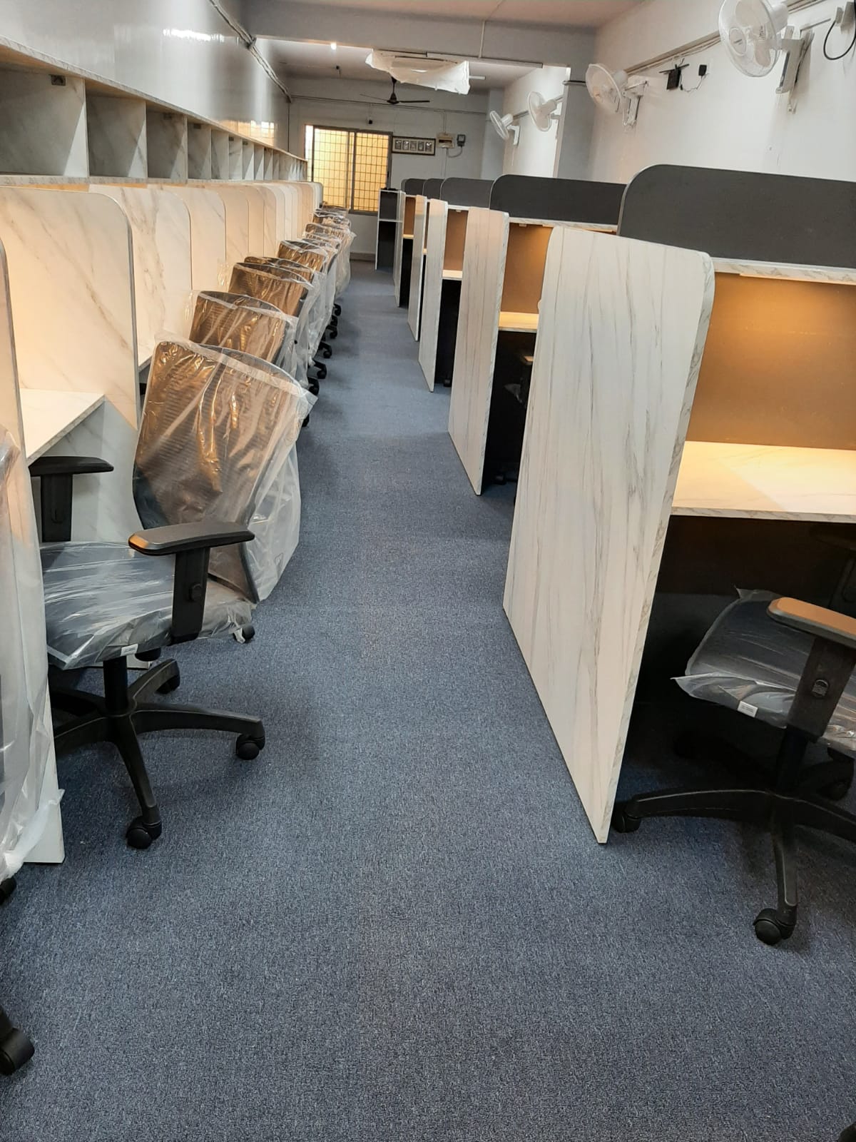 WhatsApp Image 2025-02-25 at 12.47.23 PM.jpeg